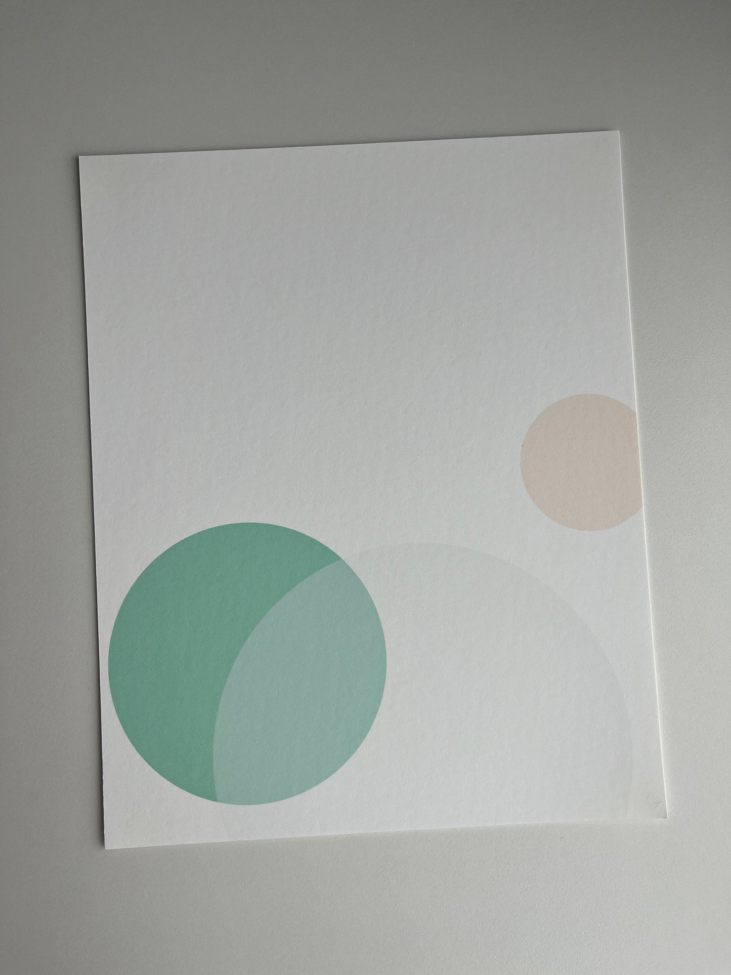 whitesmokeMediumseagreenPeachpuff