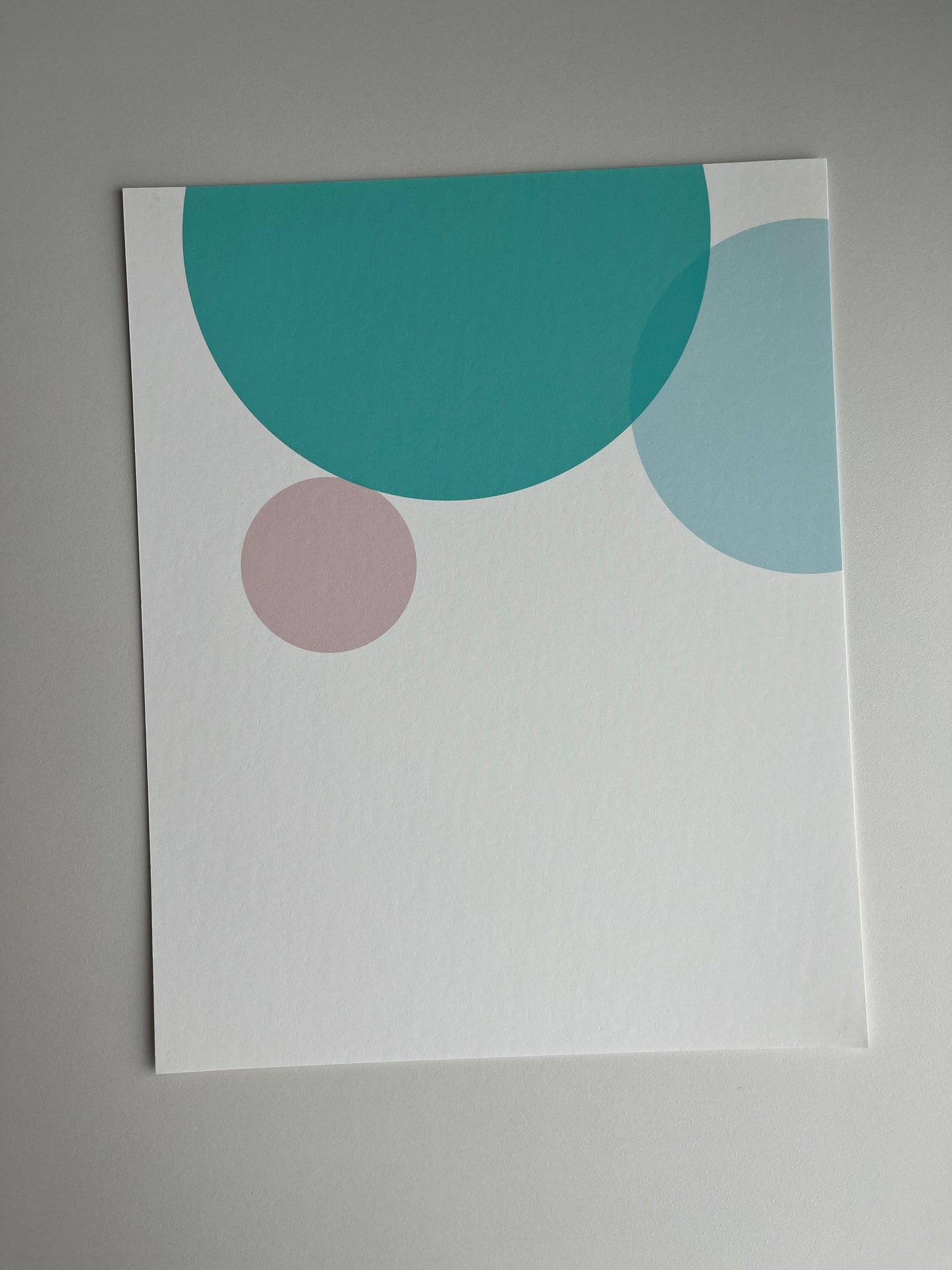 turquoisePowderblueBrown
